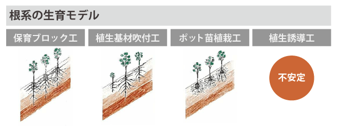 根茎の生育モデル