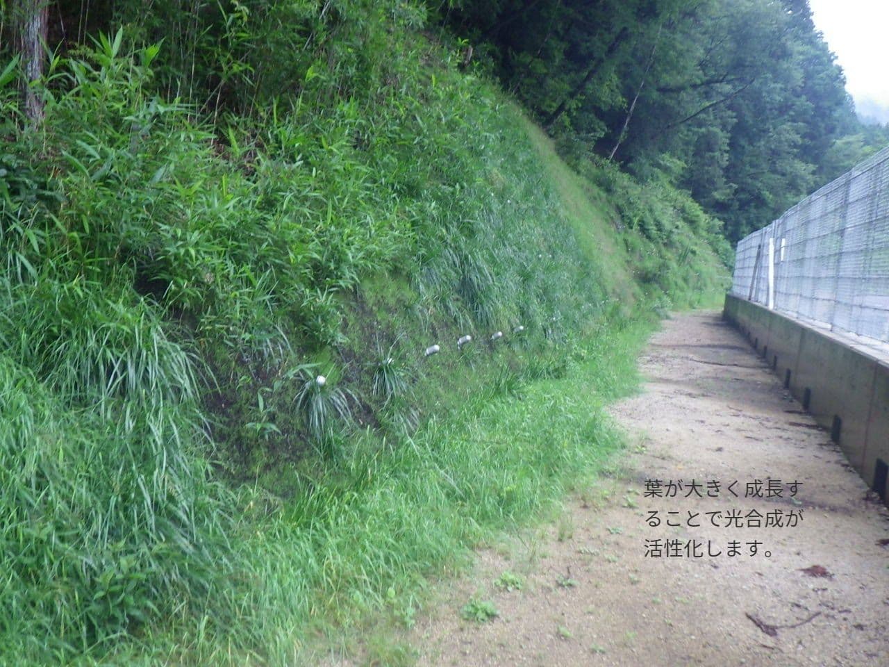 imgp9366.jpg